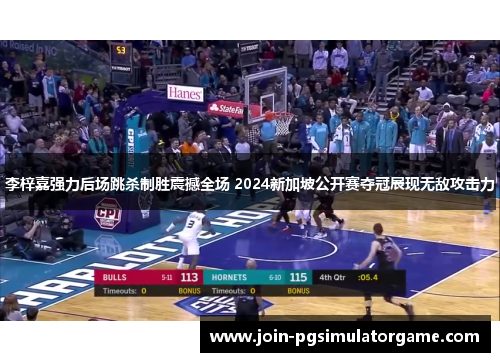 李梓嘉强力后场跳杀制胜震撼全场 2024新加坡公开赛夺冠展现无敌攻击力