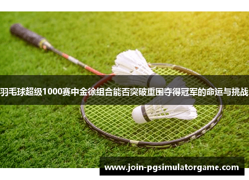 羽毛球超级1000赛中金徐组合能否突破重围夺得冠军的命运与挑战