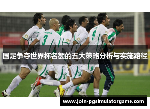 国足争夺世界杯名额的五大策略分析与实施路径