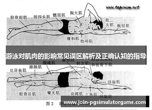 游泳对肌肉的影响常见误区解析及正确认知的指导