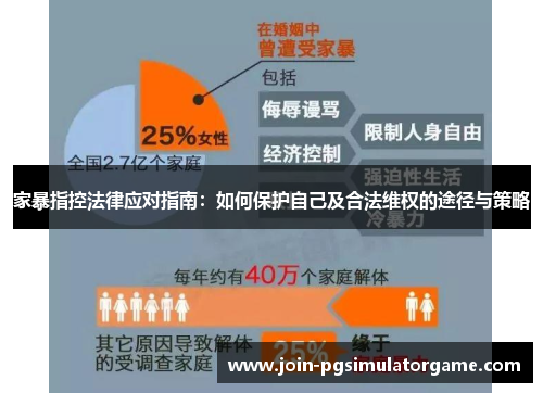 家暴指控法律应对指南：如何保护自己及合法维权的途径与策略