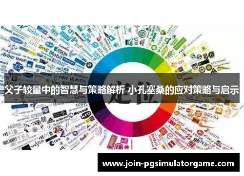 父子较量中的智慧与策略解析 小孔塞桑的应对策略与启示