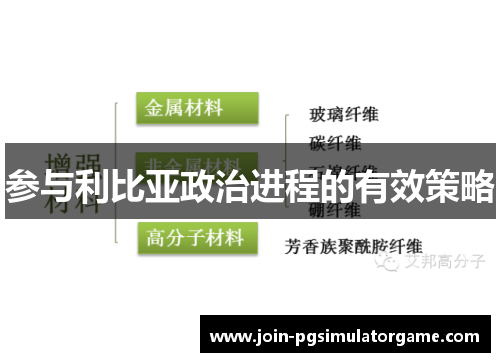 参与利比亚政治进程的有效策略