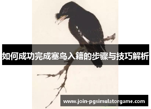 如何成功完成塞鸟入籍的步骤与技巧解析