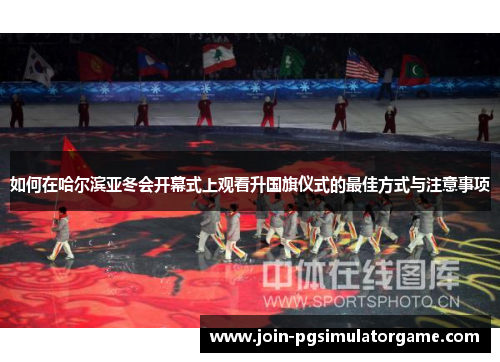 如何在哈尔滨亚冬会开幕式上观看升国旗仪式的最佳方式与注意事项