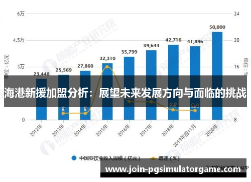 海港新援加盟分析：展望未来发展方向与面临的挑战