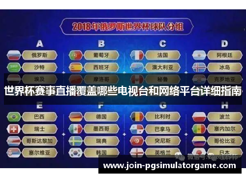 世界杯赛事直播覆盖哪些电视台和网络平台详细指南