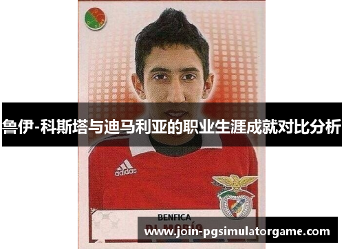 鲁伊-科斯塔与迪马利亚的职业生涯成就对比分析