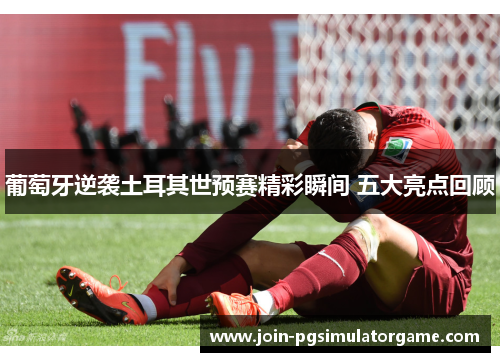 葡萄牙逆袭土耳其世预赛精彩瞬间 五大亮点回顾
