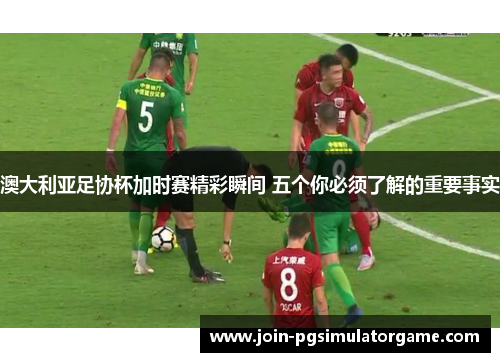 澳大利亚足协杯加时赛精彩瞬间 五个你必须了解的重要事实