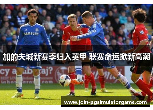 加的夫城新赛季归入英甲 联赛命运掀新高潮 加的夫城新赛季归入英甲 联赛命运掀新高潮