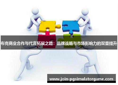 布克商业合作与代言拓展之路：品牌战略与市场影响力的双重提升