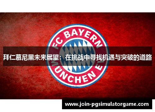拜仁慕尼黑未来展望：在挑战中寻找机遇与突破的道路