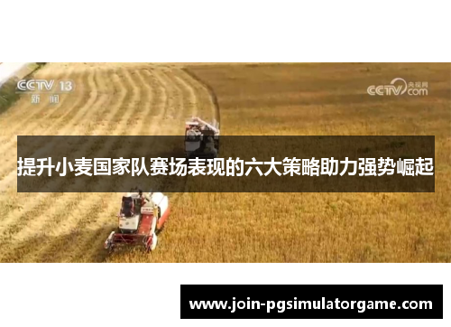 提升小麦国家队赛场表现的六大策略助力强势崛起