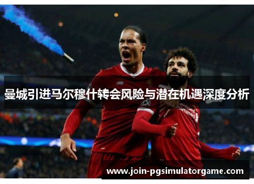 曼城引进马尔穆什转会风险与潜在机遇深度分析