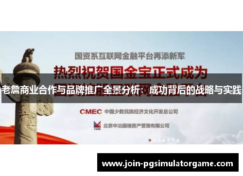 老詹商业合作与品牌推广全景分析：成功背后的战略与实践