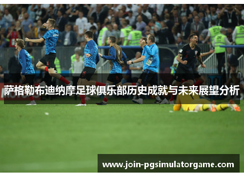 萨格勒布迪纳摩足球俱乐部历史成就与未来展望分析