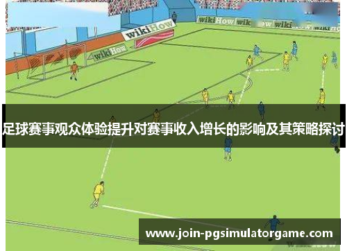 足球赛事观众体验提升对赛事收入增长的影响及其策略探讨